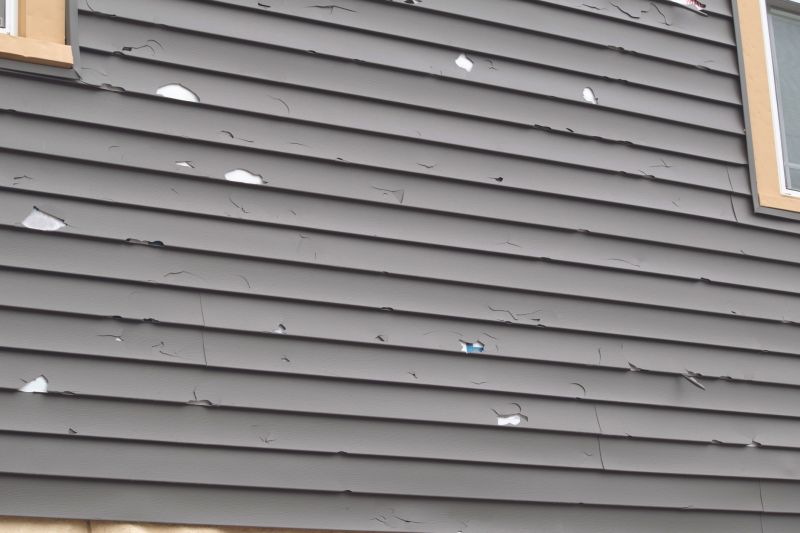 Siding Service in Belvidere, TN